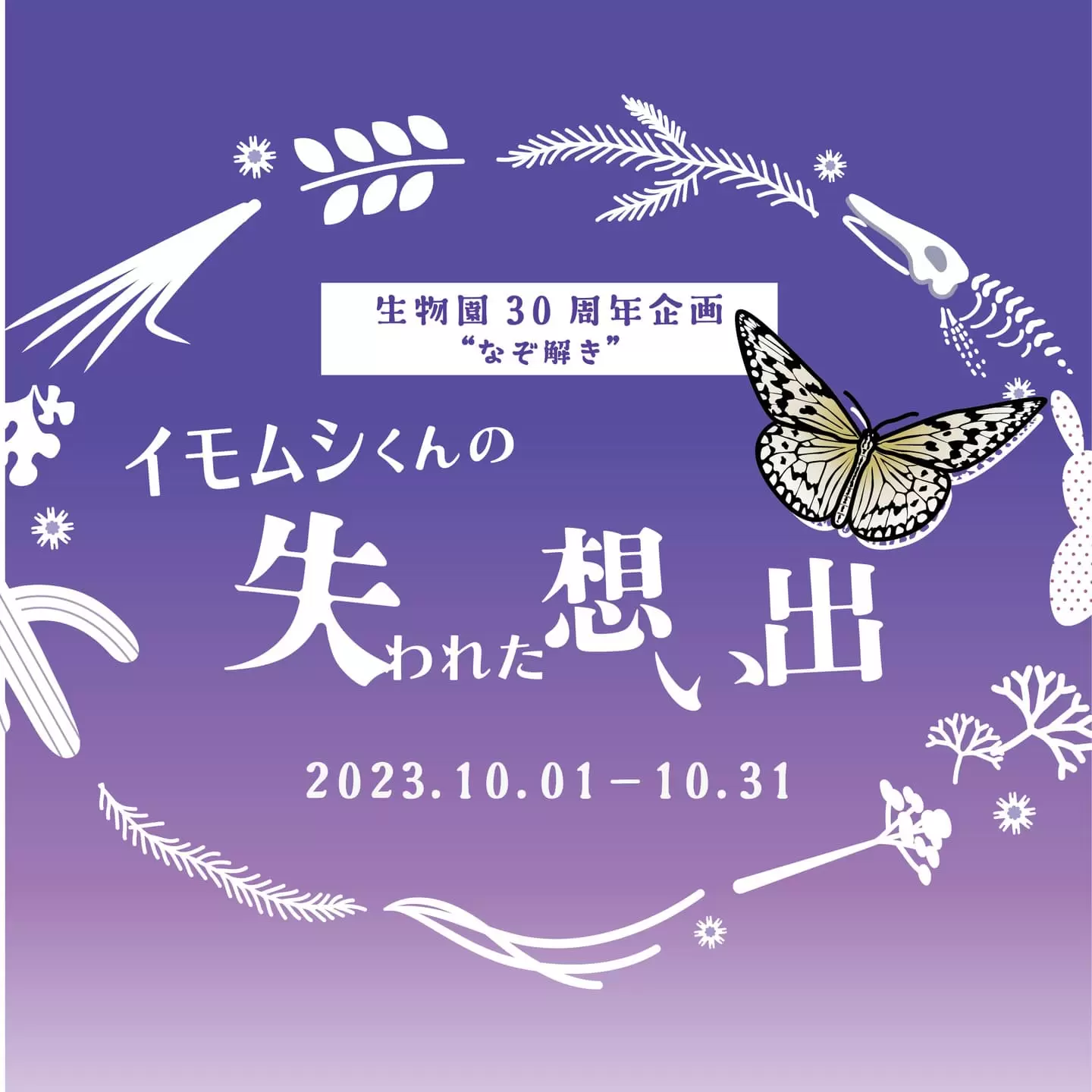 イモムシくんの失われた想い出