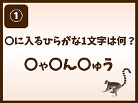 謎解き「なぞとキツネザル」