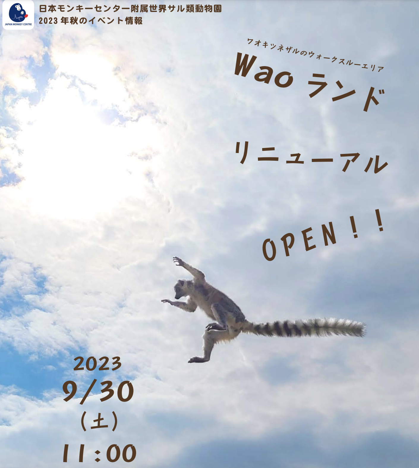 なぞとキツネザル